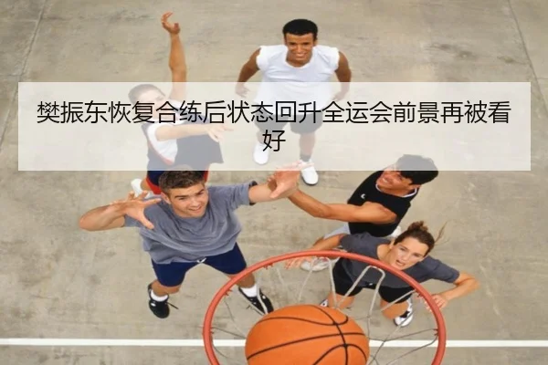 樊振东恢复合练后状态回升全运会前景再被看好